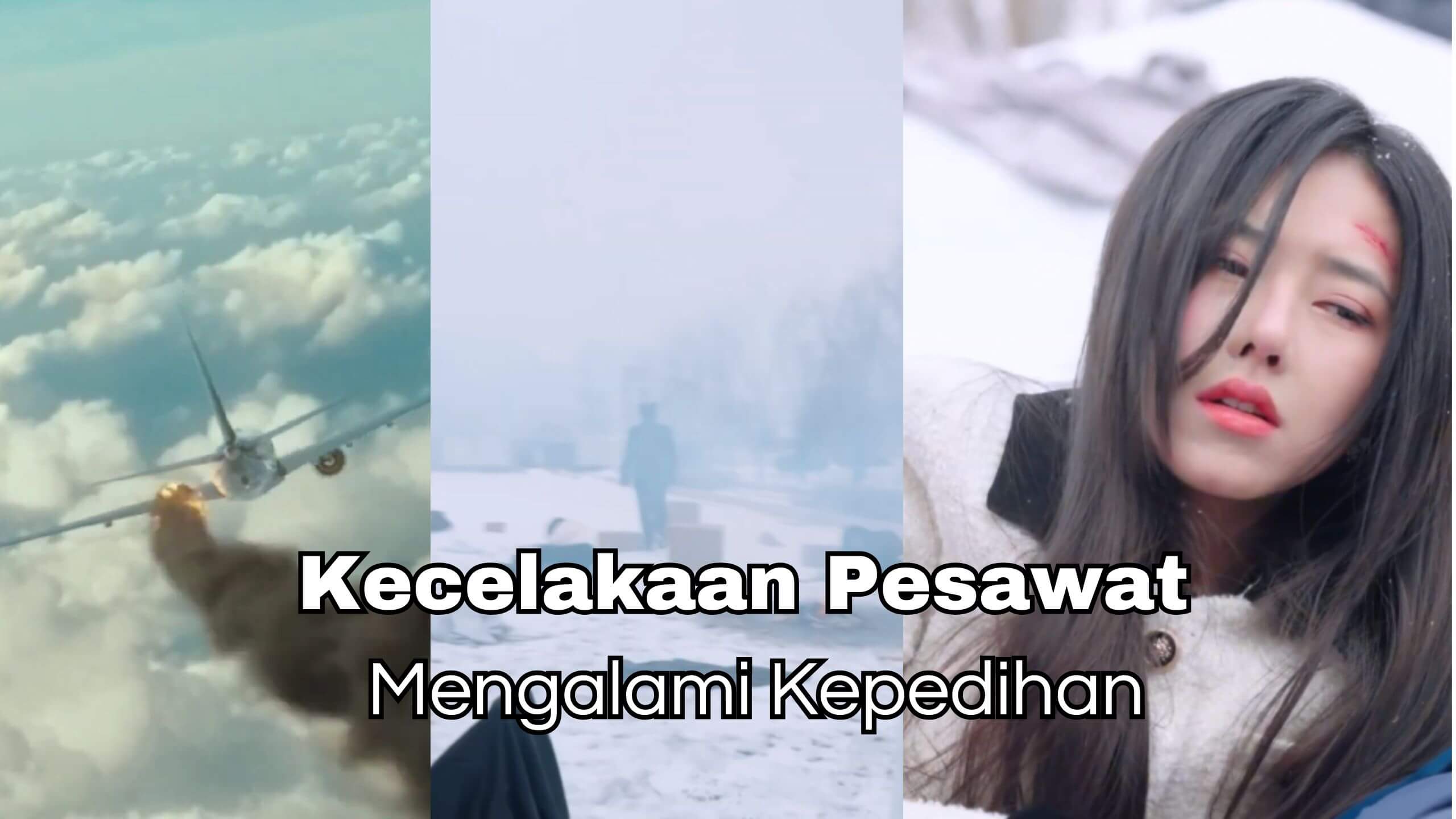 Kecelakaan Pesawat Mengalami Kepedihan