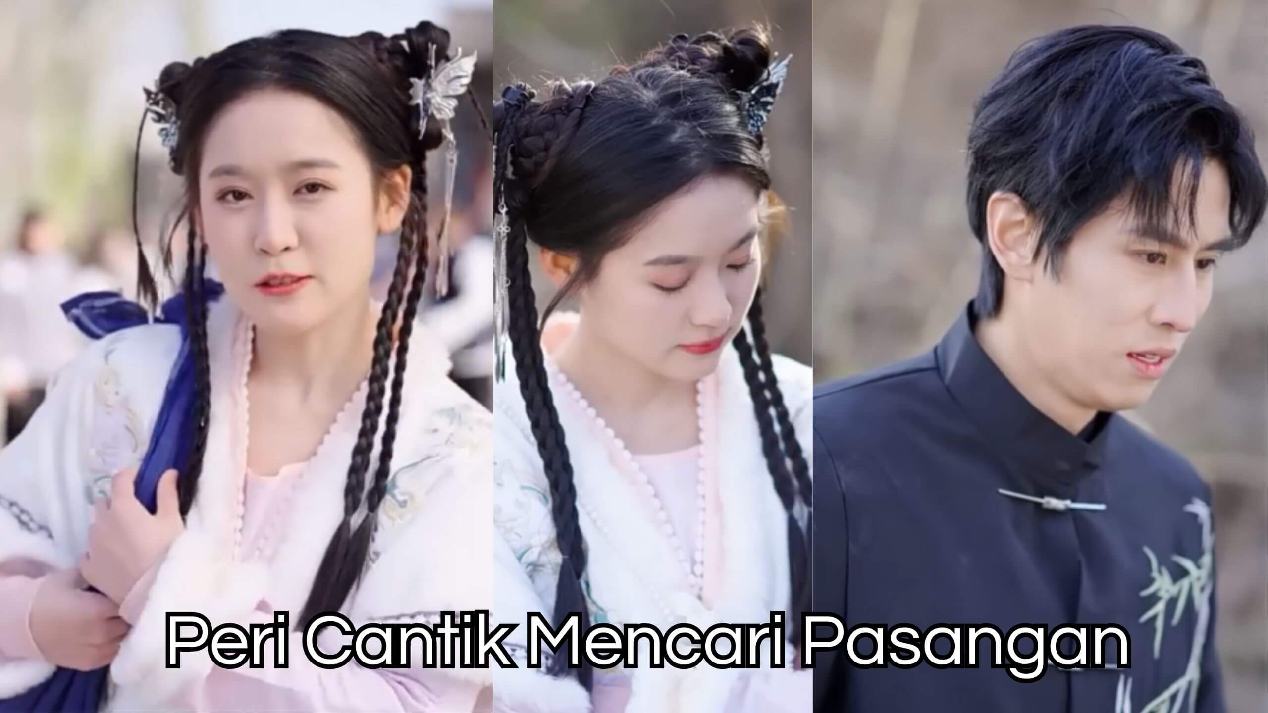 Peri Cantik Mencari Pasangan