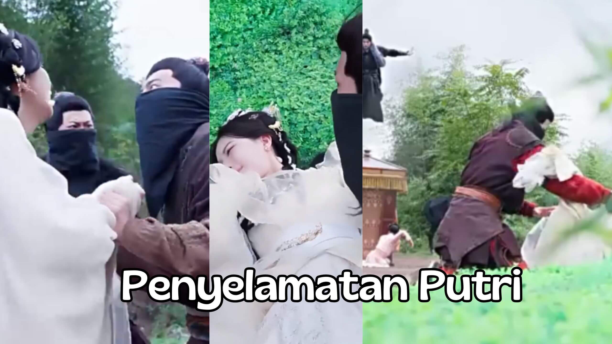 Penyelamatan Putri